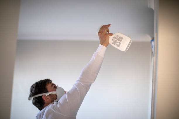 Best Same-Day Mold Removal  in Torrington, CT
