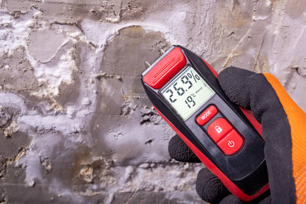 Best Home Mold Removal  in Torrington, CT